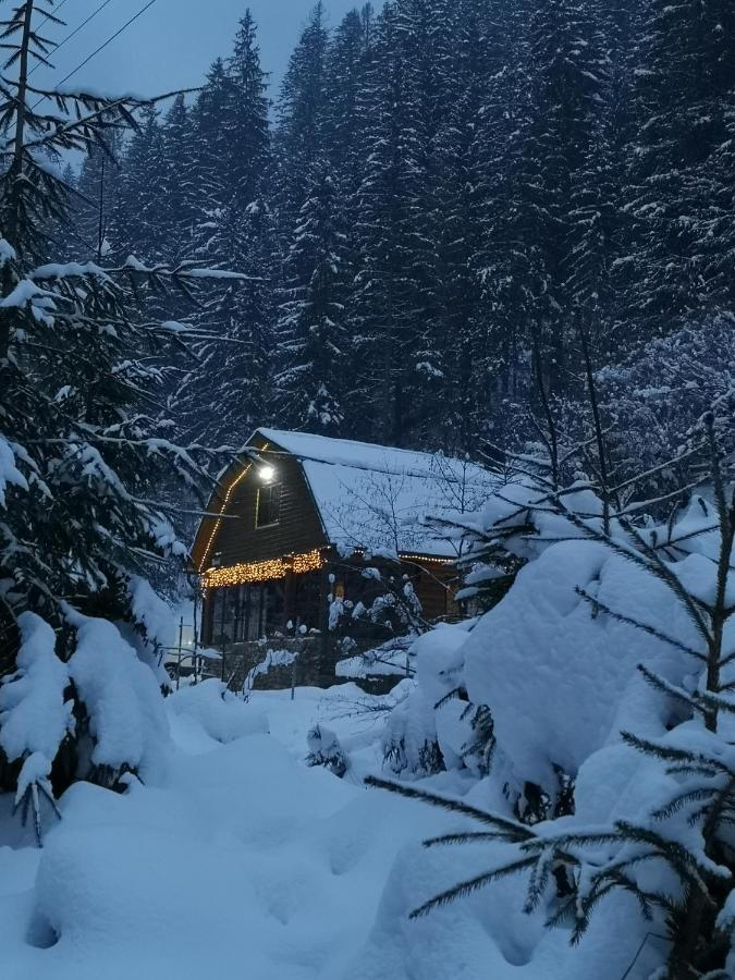 Гостьовий Дім Секвойя Verkhnyaya Bystra Exterior photo